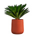 Кашпо CONCRETIKA CONE TERRACOTTA D50H54 заказать и купить с доставкой из магазина производителя Конкретика по цене 24 390 руб.