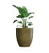Кашпо CONCRETIKA VASE 3 AVOCADO D90H95 заказать и купить с доставкой из магазина производителя Конкретика по цене 87 960 руб.