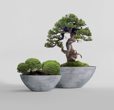 Кашпо CONCRETIKA BONSAY CONCRETE GREY LIGHT D50H19 заказать и купить Кашпо CONCRETIKA BONSAY CONCRETE GREY LIGHT D50H19 заказать и купить по цене 13 970 руб ниже рынка от производителя с доставкой.