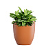 Кашпо CONCRETIKA VASE 3 CARROT D30H32 заказать и купить с доставкой из магазина производителя Конкретика по цене 9 320 руб.