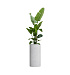 Кашпо CONCRETIKA CYLINDER EGG WHITE D40H80 заказать и купить с доставкой из магазина производителя Конкретика по цене 22 950 руб.