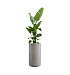 Кашпо CONCRETIKA TOPPER CONCRETE WHITE D40H90 заказать и купить с доставкой из магазина производителя Конкретика по цене 31 930 руб.