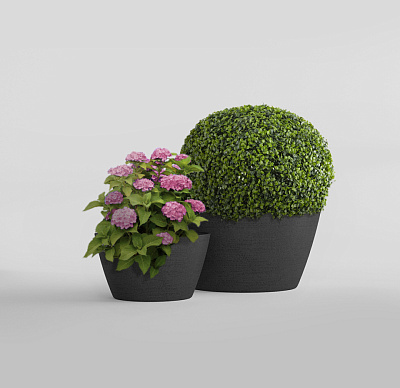 Кашпо CONCRETIKA BOWL EROSIA BLACK D52H29 заказать и купить Кашпо CONCRETIKA BOWL EROSIA BLACK D52H29 заказать и купить по цене 12 760 руб ниже рынка от производителя с доставкой.
