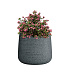 Кашпо CONCRETIKA CONE EROSIA GREY D24H26 заказать и купить с доставкой из магазина производителя Конкретика по цене 6 380 руб.