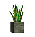 Кашпо CONCRETIKA CUBE CAYMAN GREEN 40x40x40 заказать и купить с доставкой из магазина производителя Конкретика по цене 16 730 руб.