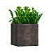 Кашпо CONCRETIKA CUBE TAUPE CONCRETE 60x60x60 заказать и купить с доставкой из магазина производителя Конкретика по цене 38 750 руб.