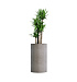 Кашпо CONCRETIKA CYLINDER CONCRETE WHITE D45H80 заказать и купить с доставкой из магазина производителя Конкретика по цене 34 600 руб.