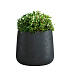 Кашпо CONCRETIKA CONE ANTHRACITE D32H36 заказать и купить с доставкой из магазина производителя Конкретика по цене 12 240 руб.