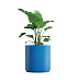 Кашпо CONCRETIKA CYLINDER XL DARK BLUE D80H85 заказать и купить с доставкой из магазина производителя Конкретика по цене 58 770 руб.