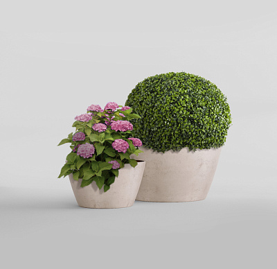 Кашпо CONCRETIKA BOWL CONCRETE WHITE D80H45 заказать и купить Кашпо CONCRETIKA BOWL CONCRETE WHITE D80H45 заказать и купить по цене 34 600 руб ниже рынка от производителя с доставкой.
