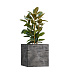 Кашпо CONCRETIKA CUBE CONCRETE GREY DARK 70x70x70 заказать и купить с доставкой из магазина производителя Конкретика по цене 65 740 руб.