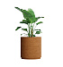 Кашпо CONCRETIKA CYLINDER XL EROSIA OCHRE D80H85 заказать и купить с доставкой из магазина производителя Конкретика по цене 67 590 руб.