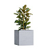 Кашпо CONCRETIKA CUBE EROSIA WHITE 70x70x70 заказать и купить с доставкой из магазина производителя Конкретика по цене 62 990 руб.