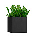 Кашпо CONCRETIKA CUBE NERO 60x60x60 заказать и купить с доставкой из магазина производителя Конкретика по цене 32 290 руб.