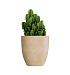 Кашпо CONCRETIKA VASE 3 LEMON D50H55 заказать и купить с доставкой из магазина производителя Конкретика по цене 22 550 руб.
