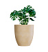 Кашпо CONCRETIKA VASE 3 LEMON D75H82 заказать и купить с доставкой из магазина производителя Конкретика по цене 57 140 руб.