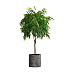 Кашпо CONCRETIKA CYLINDER CONCRETE GREY DARK D45H45 заказать и купить с доставкой из магазина производителя Конкретика по цене 21 290 руб.