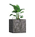 Кашпо CONCRETIKA CUBE CONCRETE GREY DARK 100x100x100 заказать и купить с доставкой из магазина производителя Конкретика по цене 135 720 руб.