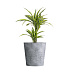 Кашпо CONCRETIKA CRATER CONCRETE GREY LIGHT D50H75 заказать и купить с доставкой из магазина производителя Конкретика по цене 30 600 руб.