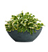 Кашпо CONCRETIKA BONSAY OCEAN GREEN D50H19 заказать и купить с доставкой из магазина производителя Конкретика по цене 13 970 руб.