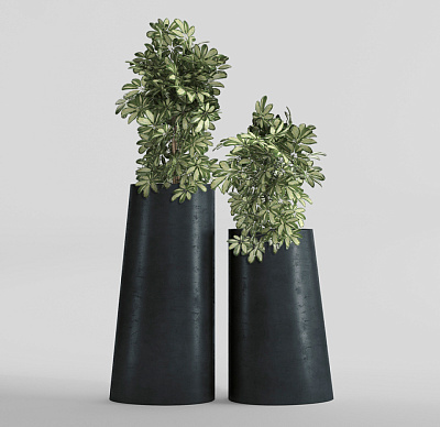 Кашпо CONCRETIKA DUET ANTHRACITE D41H82 заказать и купить Кашпо CONCRETIKA DUET ANTHRACITE D41H82 заказать и купить по цене 34 600 руб ниже рынка от производителя с доставкой.
