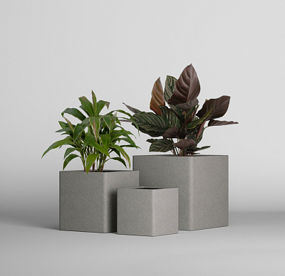 Кашпо CONCRETIKA QADRO COOL GREY 50x50x50 заказать и купить Кашпо CONCRETIKA QADRO COOL GREY 50x50x50 заказать и купить по цене 22 750 руб ниже рынка от производителя с доставкой.