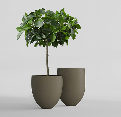 Кашпо CONCRETIKA BARREL OLIVE D44H48 заказать и купить Кашпо CONCRETIKA BARREL OLIVE D44H48 заказать и купить по цене 15 520 руб ниже рынка от производителя с доставкой.