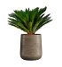 Кашпо CONCRETIKA CONE SMOKEY GREY D50H54 заказать и купить с доставкой из магазина производителя Конкретика по цене 29 280 руб.