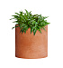 Кашпо CONCRETIKA CYLINDER RED CLAY D25H25 заказать и купить с доставкой из магазина производителя Конкретика по цене 6 270 руб.