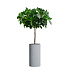 Кашпо CONCRETIKA CYLINDER EROSIA WHITE D30H60 заказать и купить с доставкой из магазина производителя Конкретика по цене 16 330 руб.