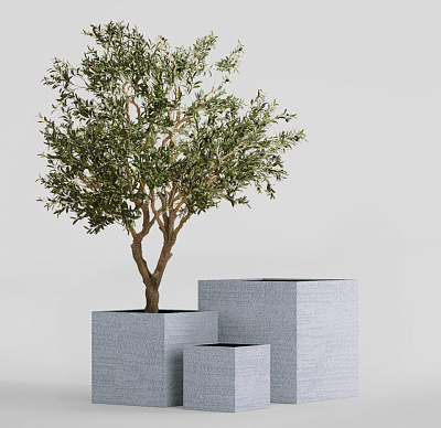 Кашпо CONCRETIKA CUBE EROSIA WHITE 100x100x100 заказать и купить Кашпо CONCRETIKA CUBE EROSIA WHITE 100x100x100 заказать и купить по цене 130 070 руб ниже рынка от производителя с доставкой.