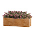 Кашпо CONCRETIKA BALCONY CLASSIC CLAY 60x20x20 заказать и купить с доставкой из магазина производителя Конкретика по цене 10 020 руб.