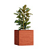 Кашпо CONCRETIKA CUBE EROSIA CORAL 70x70x70 заказать и купить с доставкой из магазина производителя Конкретика по цене 62 990 руб.