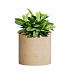 Кашпо CONCRETIKA CYLINDER LEMON D30H30 заказать и купить с доставкой из магазина производителя Конкретика по цене 10 020 руб.