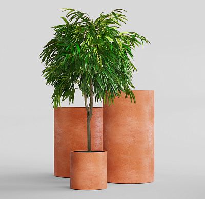 Кашпо CONCRETIKA CYLINDER RED CLAY D30H60 заказать и купить Кашпо CONCRETIKA CYLINDER RED CLAY D30H60 заказать и купить по цене 16 040 руб ниже рынка от производителя с доставкой.