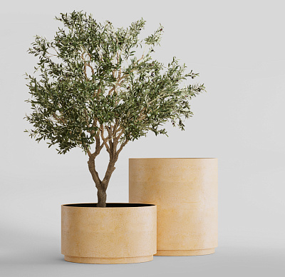 Кашпо CONCRETIKA CYLINDER XL LEMON D120H120 заказать и купить Кашпо CONCRETIKA CYLINDER XL LEMON D120H120 заказать и купить по цене 151 640 руб ниже рынка от производителя с доставкой.