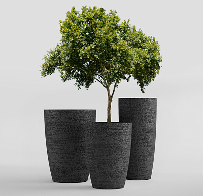 Кашпо CONCRETIKA CONUS EROSIA BLACK D40H80 заказать и купить Кашпо CONCRETIKA CONUS EROSIA BLACK D40H80 заказать и купить по цене 22 950 руб ниже рынка от производителя с доставкой.