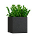 Кашпо CONCRETIKA CUBE EGG BLACK 60x60x60 заказать и купить с доставкой из магазина производителя Конкретика по цене 32 290 руб.