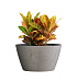 Кашпо CONCRETIKA BOWL CONCRETE WHITE D80H45 заказать и купить с доставкой из магазина производителя Конкретика по цене 34 600 руб.