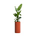 Кашпо CONCRETIKA CYLINDER TERRACOTTA D40H80 заказать и купить с доставкой из магазина производителя Конкретика по цене 22 950 руб.