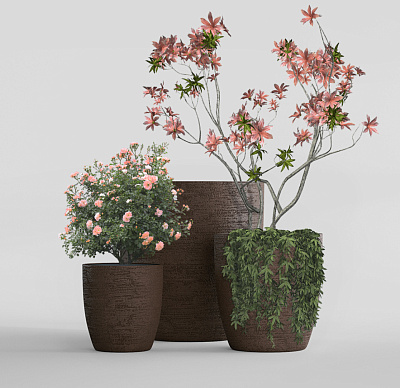 Кашпо CONCRETIKA VASE 3 EROSIA BROWN D60H65 заказать и купить Кашпо CONCRETIKA VASE 3 EROSIA BROWN D60H65 заказать и купить по цене 39 180 руб ниже рынка от производителя с доставкой.