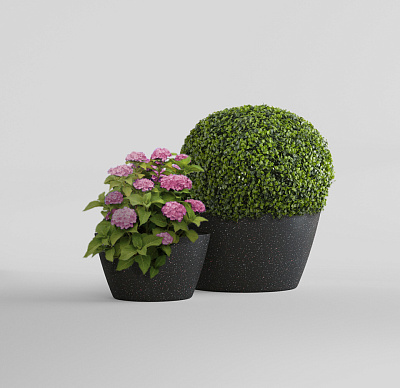 Кашпо CONCRETIKA BOWL EGG BLACK D65H36 заказать и купить Кашпо CONCRETIKA BOWL EGG BLACK D65H36 заказать и купить по цене 16 630 руб ниже рынка от производителя с доставкой.