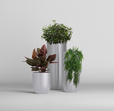 Кашпо CONCRETIKA YAR SILVER D40H44 заказать и купить Кашпо CONCRETIKA YAR SILVER D40H44 заказать и купить по цене 13 310 руб ниже рынка от производителя с доставкой.