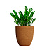 Кашпо CONCRETIKA VASE 3 EROSIA OCHRE D60H65 заказать и купить с доставкой из магазина производителя Конкретика по цене 39 180 руб.