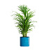 Кашпо CONCRETIKA CYLINDER COBALT BLUE D40H40 заказать и купить с доставкой из магазина производителя Конкретика по цене 16 280 руб.