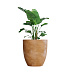 Кашпо CONCRETIKA VASE 3 CLASSIC CLAY D90H95 заказать и купить с доставкой из магазина производителя Конкретика по цене 87 960 руб.