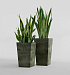 Кашпо CONCRETIKA CONIC CAYMAN GREEN 30x30x50 заказать и купить с доставкой из магазина производителя Конкретика по цене 15 300 руб.