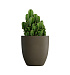 Кашпо CONCRETIKA VASE 3 OLIVE D50H55 заказать и купить с доставкой из магазина производителя Конкретика по цене 19 960 руб.