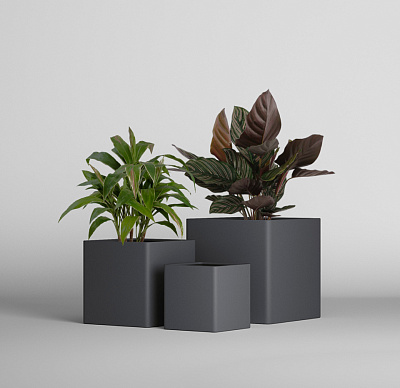 Кашпо CONCRETIKA QADRO MARENGO 50x50x50 заказать и купить Кашпо CONCRETIKA QADRO MARENGO 50x50x50 заказать и купить по цене 22 750 руб ниже рынка от производителя с доставкой.
