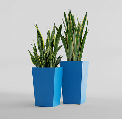 Кашпо CONCRETIKA CONIC DARK BLUE 40x40x70 заказать и купить Кашпо CONCRETIKA CONIC DARK BLUE 40x40x70 заказать и купить по цене 24 390 руб ниже рынка от производителя с доставкой.